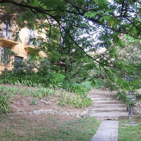 Petit Paradis Apartment นีซ ภายนอก รูปภาพ