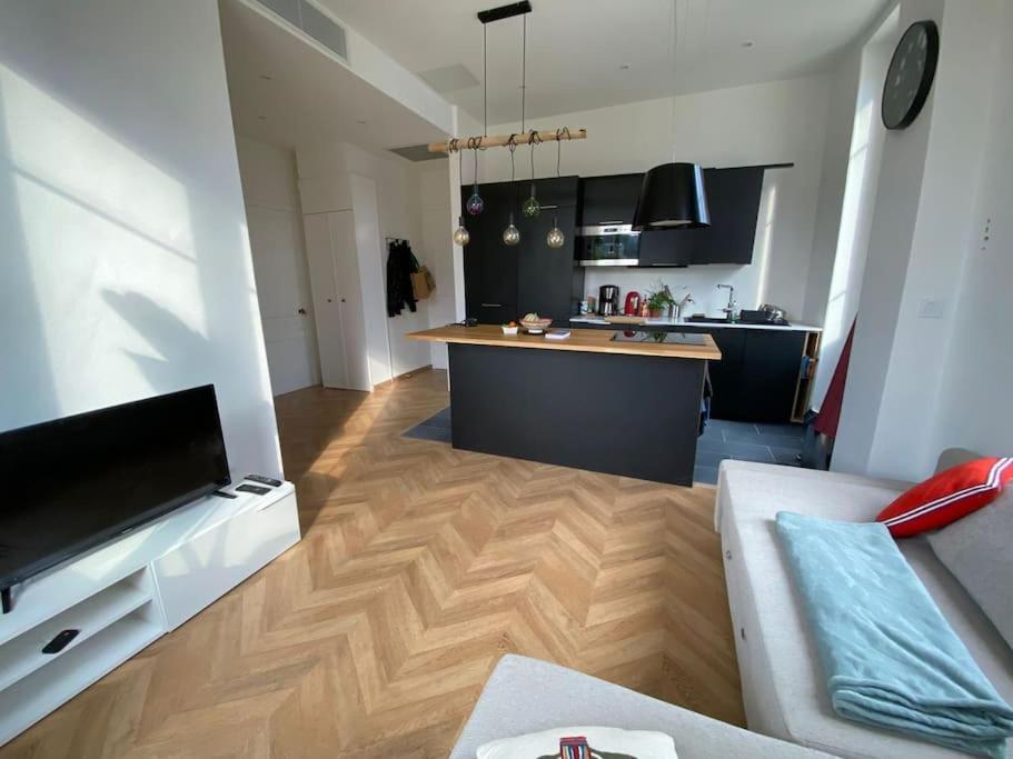 Petit Paradis Apartment นีซ ภายนอก รูปภาพ